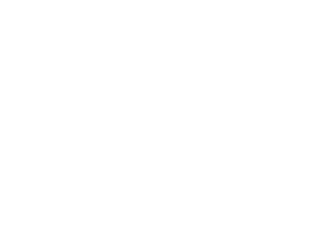 AVO TACO Bayside Queens New Hyde Park Nassau County taco restaurant